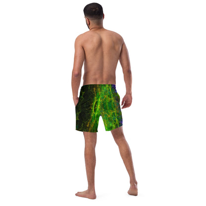 Men's swim trunks Tree of Life