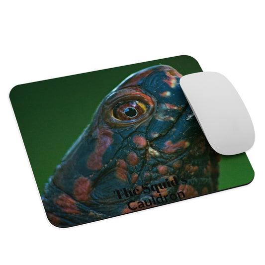 Turtle Mouse pad