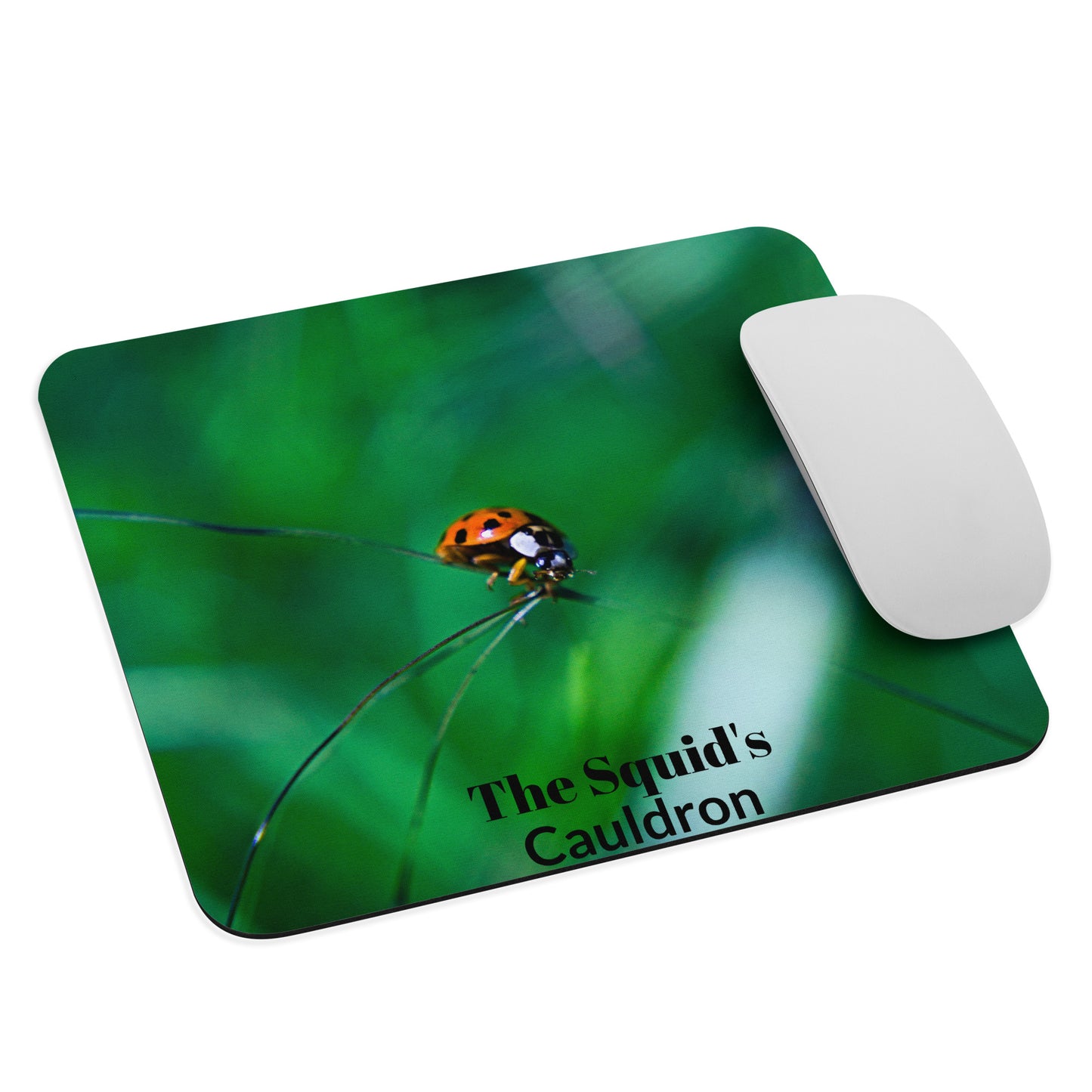 Ladybug Mouse pad